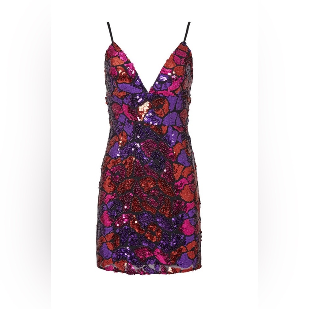 Hutch Ren Sequin Mini Dress